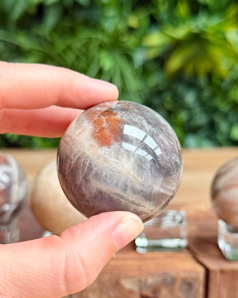 Person holding a crystal moonstone sphere with a blurred green outdoor background