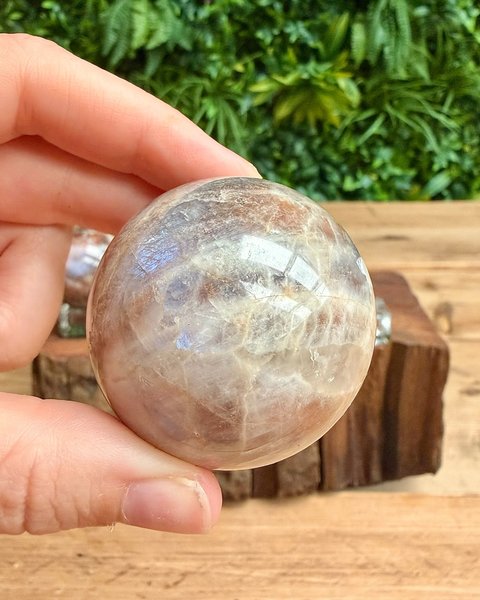 Person holding a large crystal ball outdoors with greenery in the background