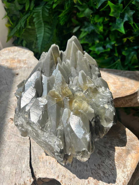 Dragon Scale Calcite