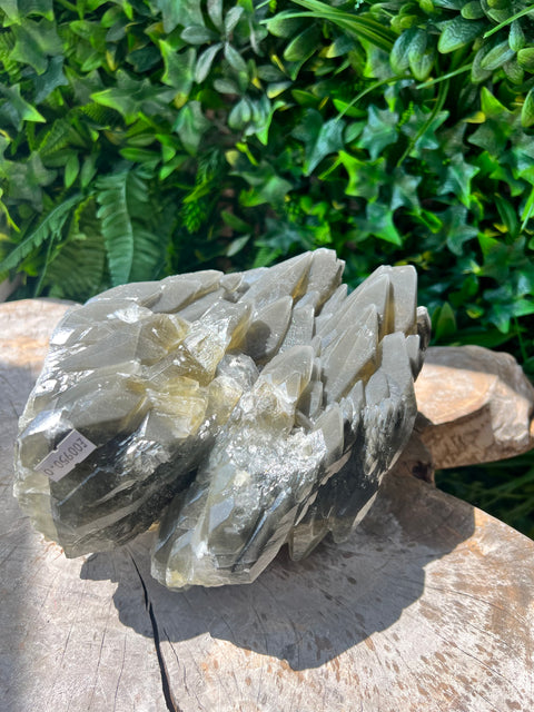 Dragon Scale Calcite