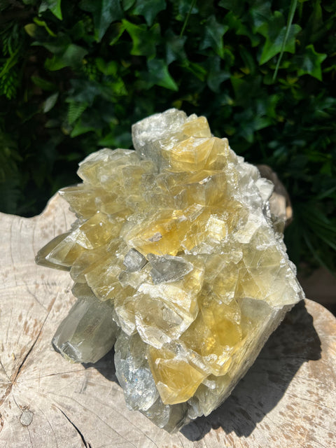 Dragon Scale Calcite