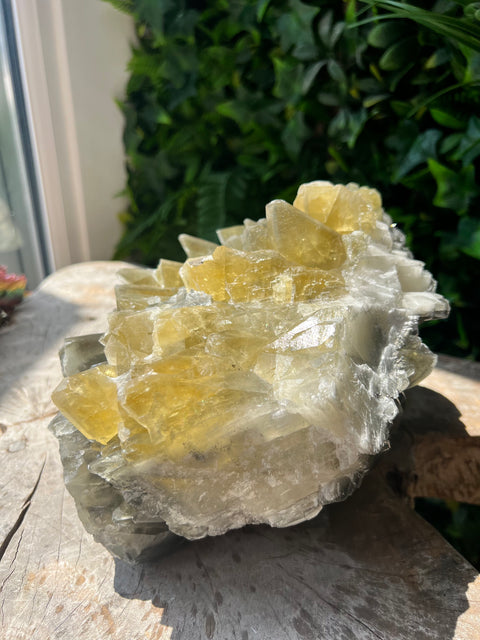 Dragon Scale Calcite